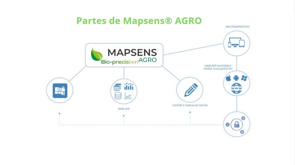 partes de mapsens